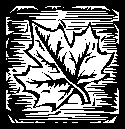 woodblock maple leaf
